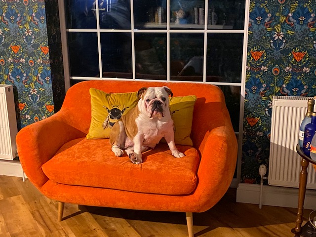 Orange retro sofa Neve